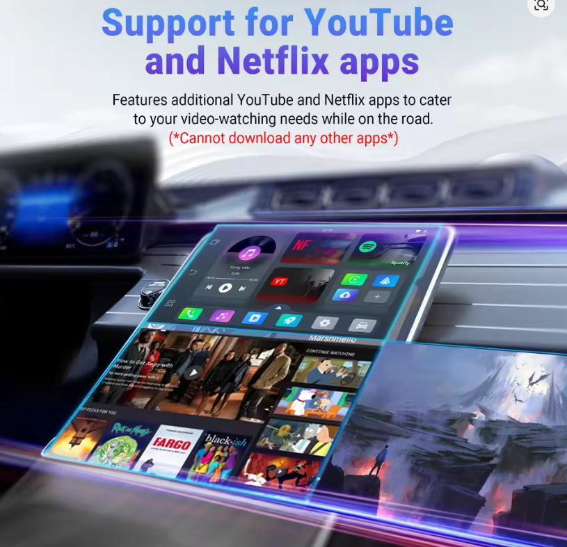 Play2Video Pro